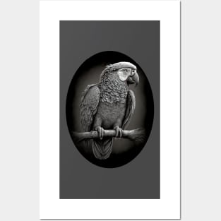 African Grey Parrot Posters and Art